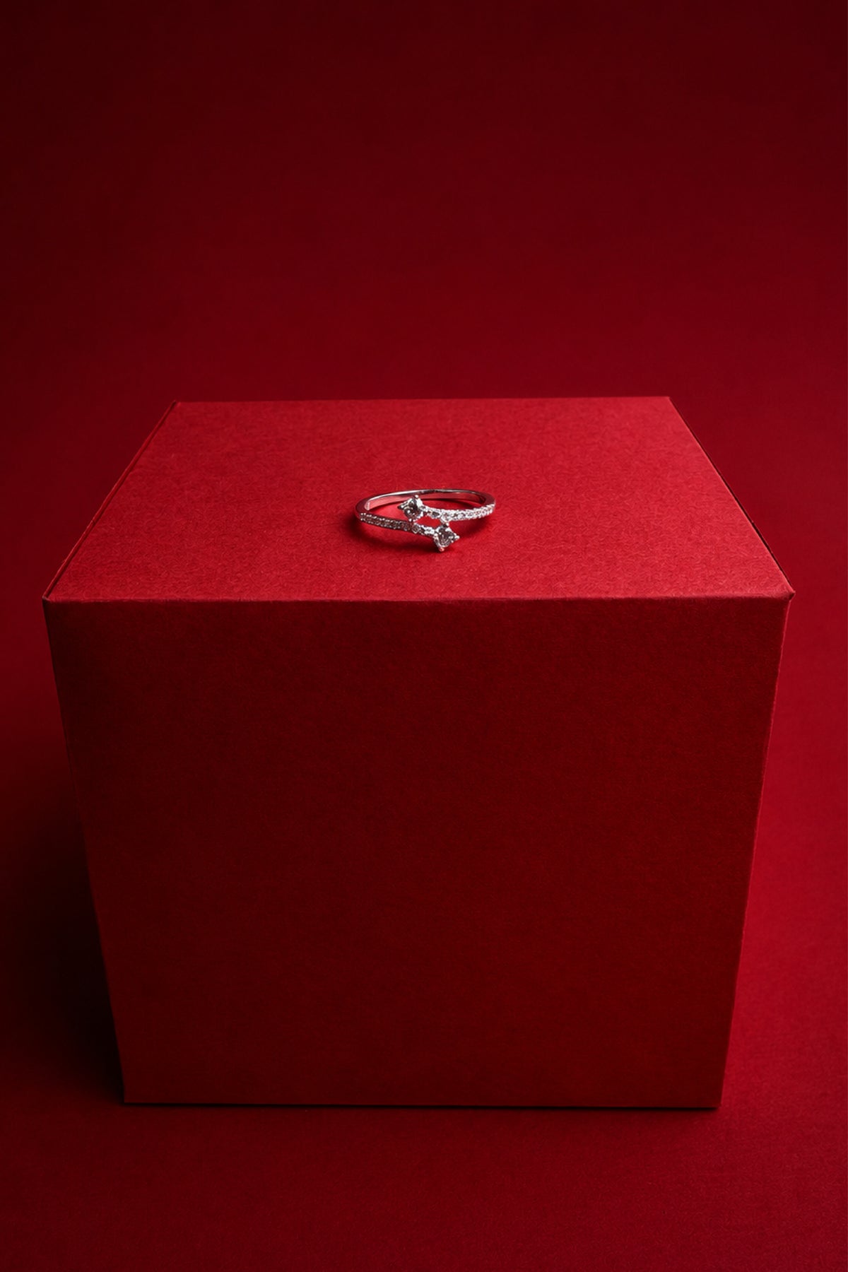Anillo Doble Circon